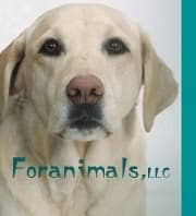 become a dog trainer in massachusetts