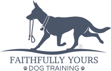 become a dog trainer in mississippi