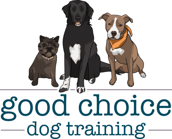 become a dog trainer in new york
