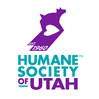 become a dog trainer in utah