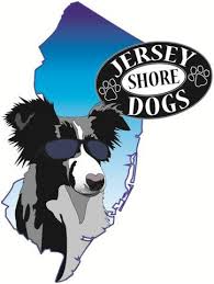 become a dog trainer in new jersey