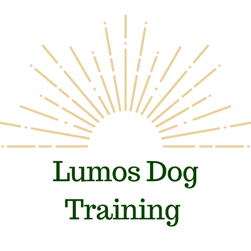 become a dog trainer in georgia