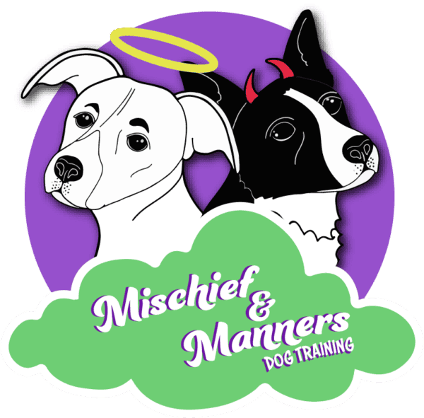 become a dog trainer in maryland