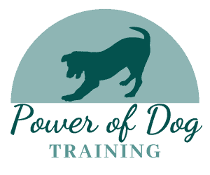 Become a dog trainer in Washington