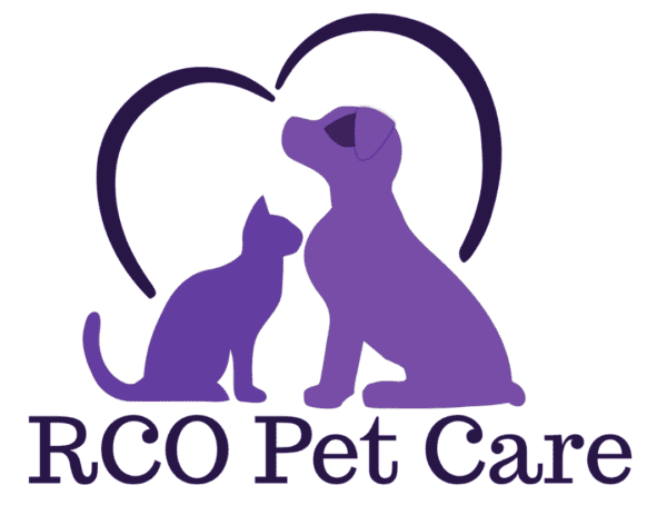 become a dog trainer in connecticut