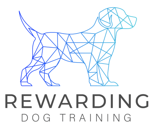 become a dog trainer in colorado