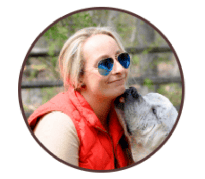 become a dog trainer in connecticut