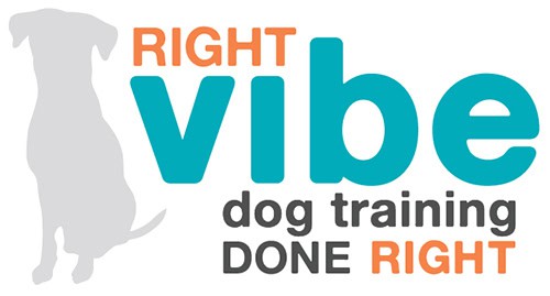 become a dog trainer in massachusetts