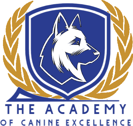 become a dog trainer in new mexico