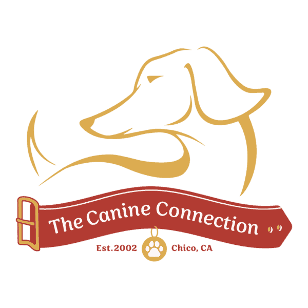 become a dog trainer in california