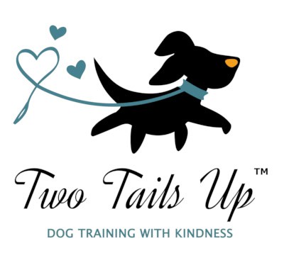 become a dog trainer in south carolina