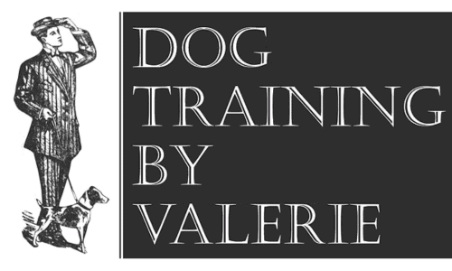 become a dog trainer in virginia