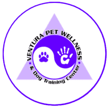 become a dog trainer in california