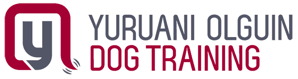 become a dog trainer