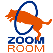 become a dog trainer in florida