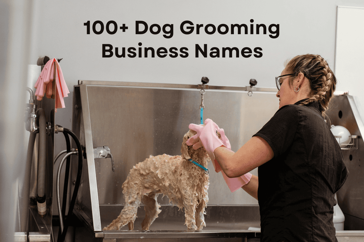 dog grooming business name ideas