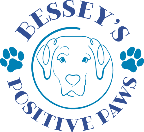 become a dog trainer in maine