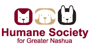 become a dog trainer in new hampshire
