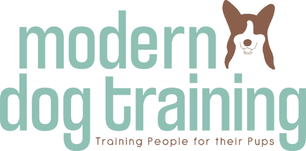 become a dog trainer in rhode island