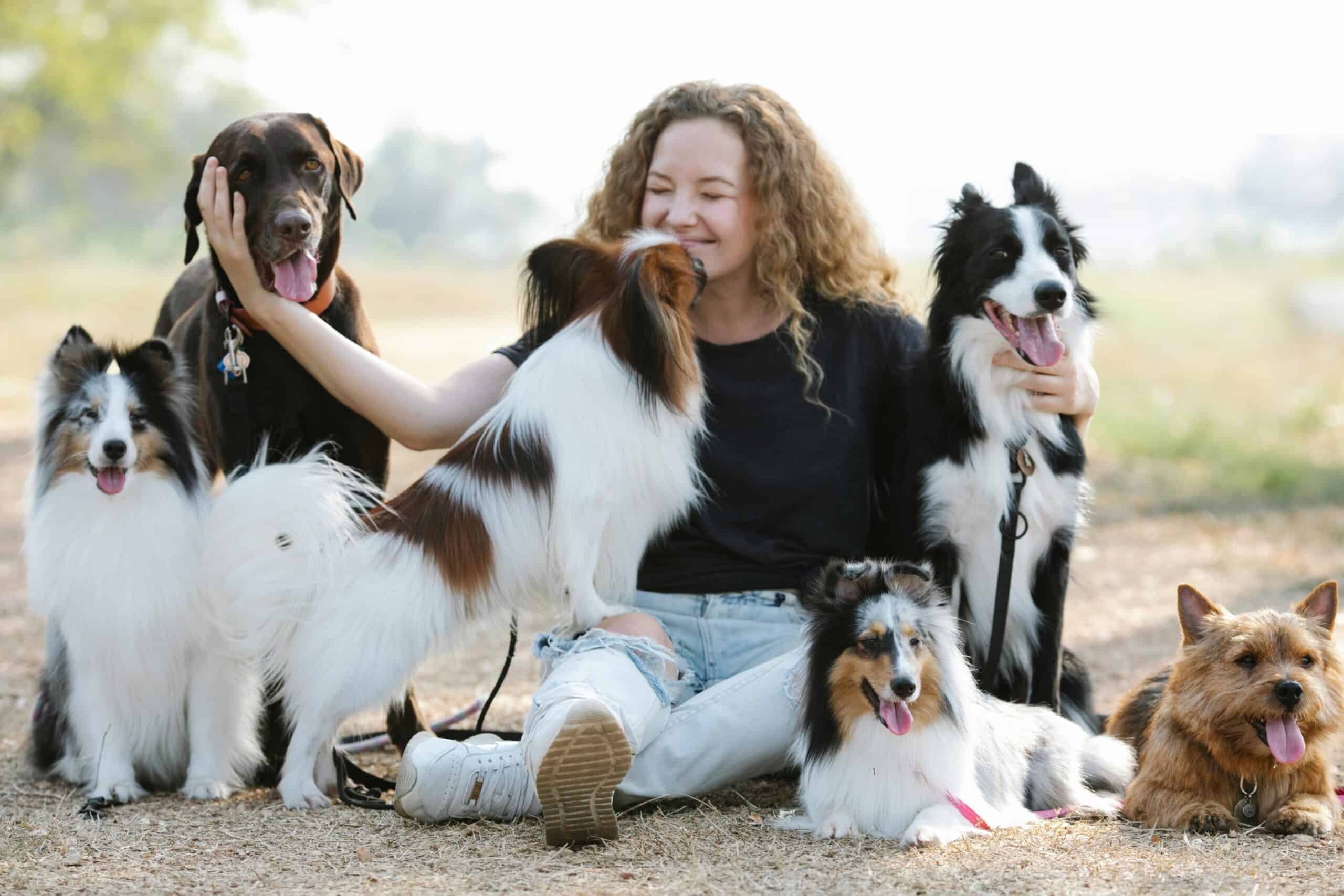 become a dog trainer in delaware