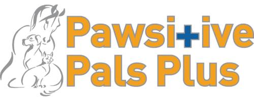 become a dog trainer in hawaii