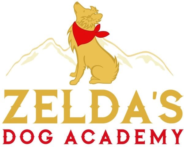 become a dog trainer in montana