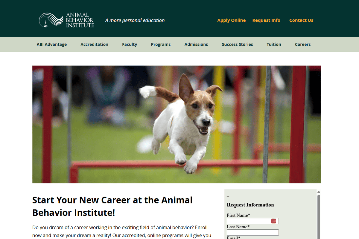 best-cat-training-school best cat training certification