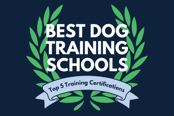 best dog training schools in 2025