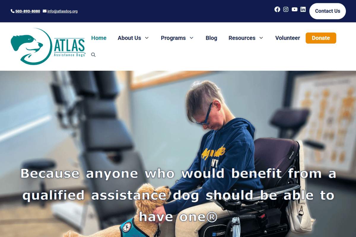 best-dog-training-school-for-service-dogs best service dog training certification