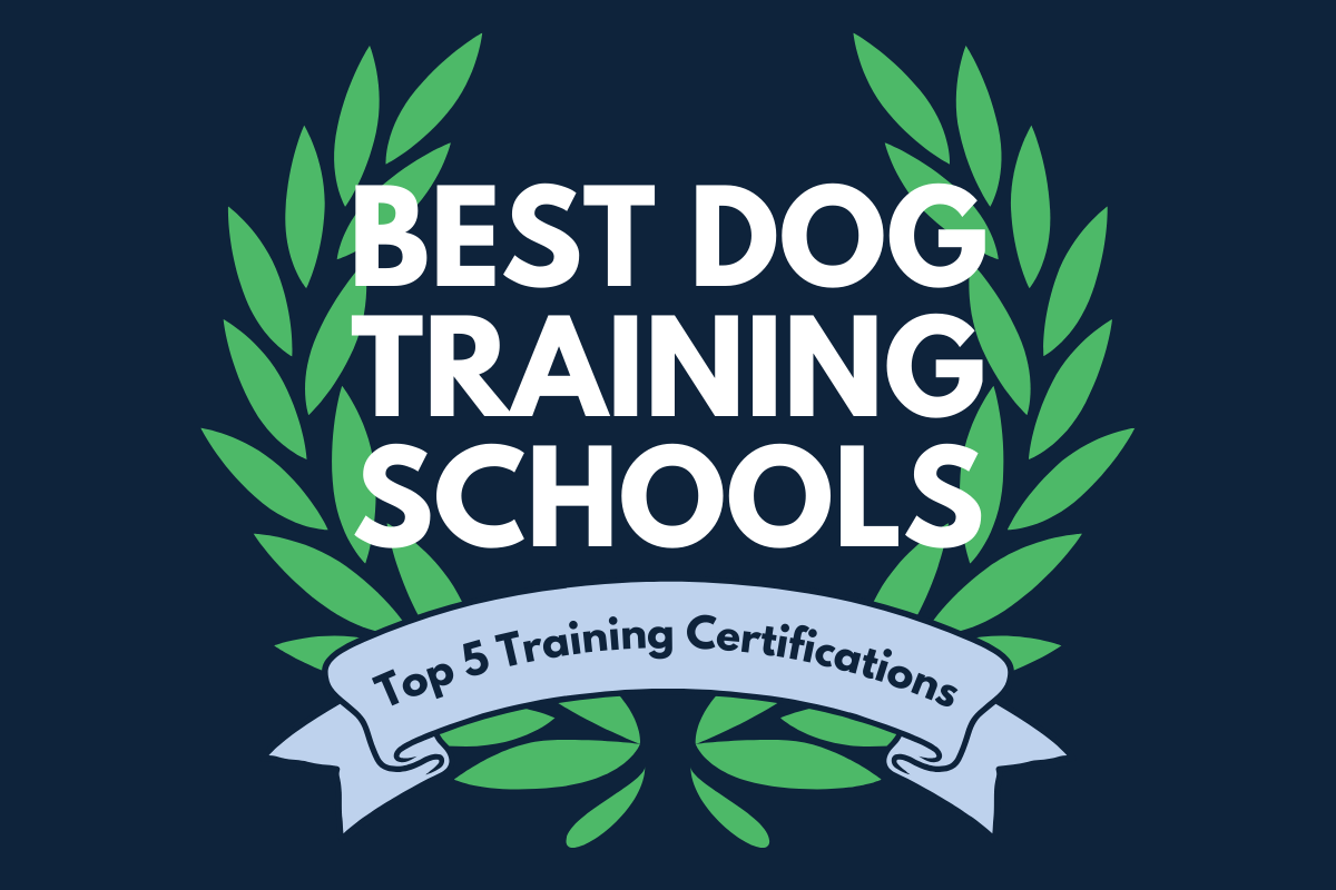 best dog training schools in 2025
