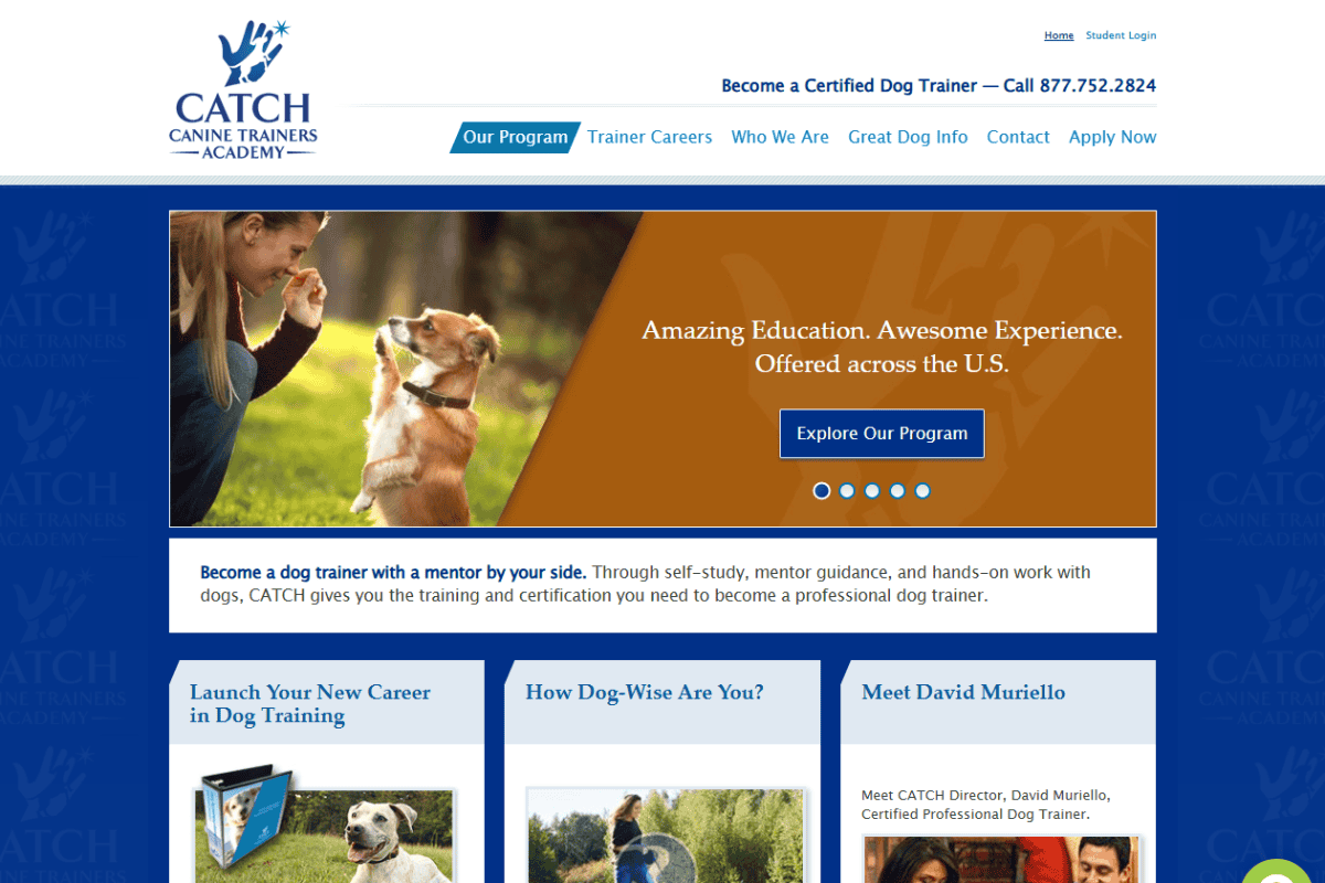 best-online-dog-training-school best online dog training certification