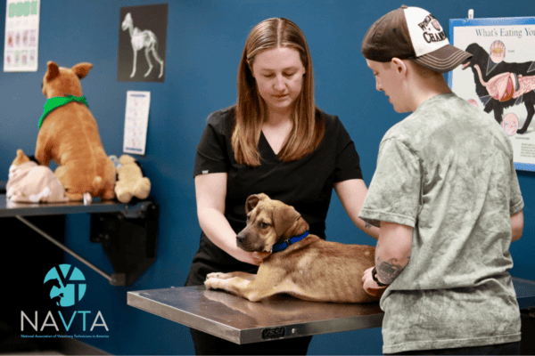 navta for vet assistants