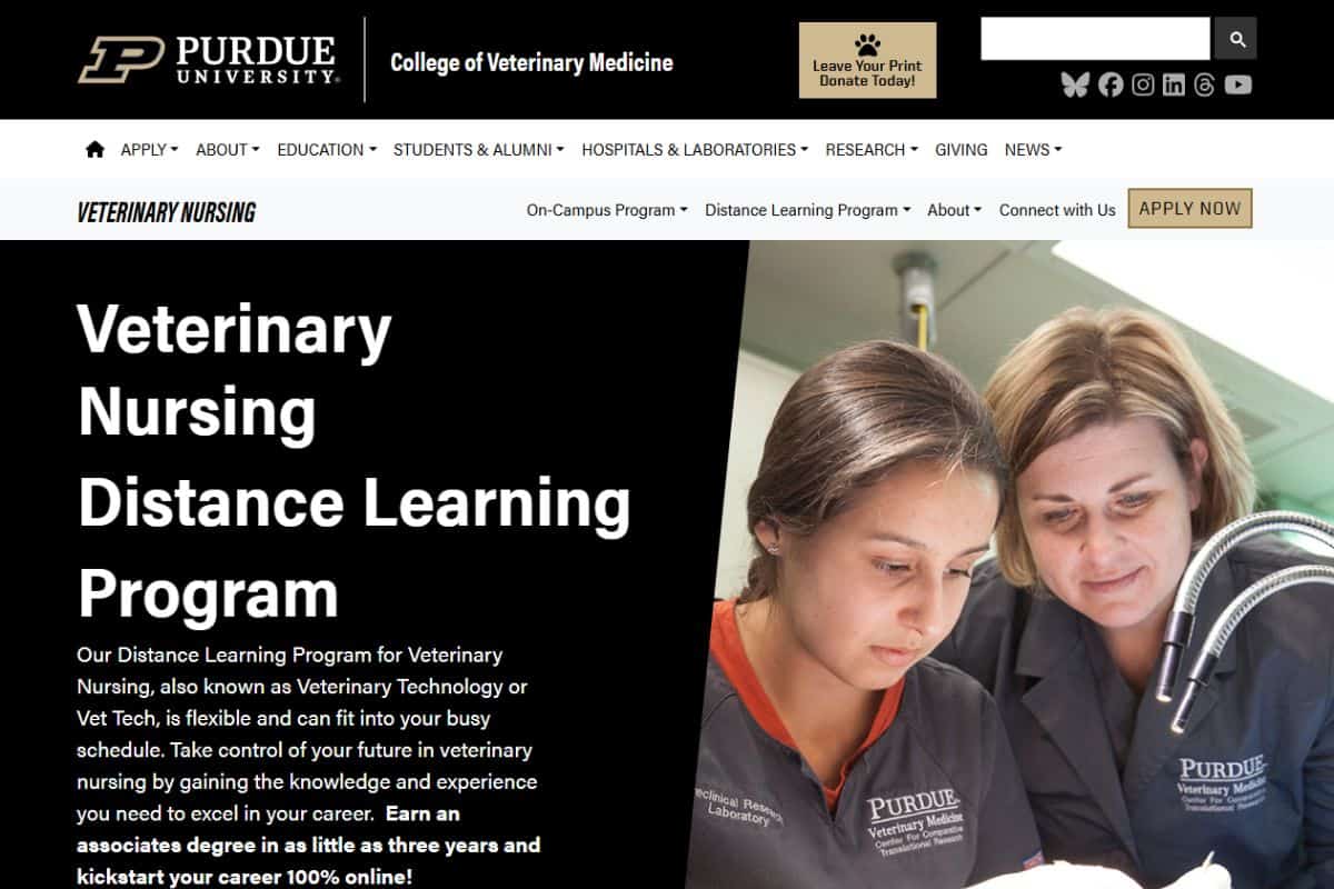 online veterinary technician school
