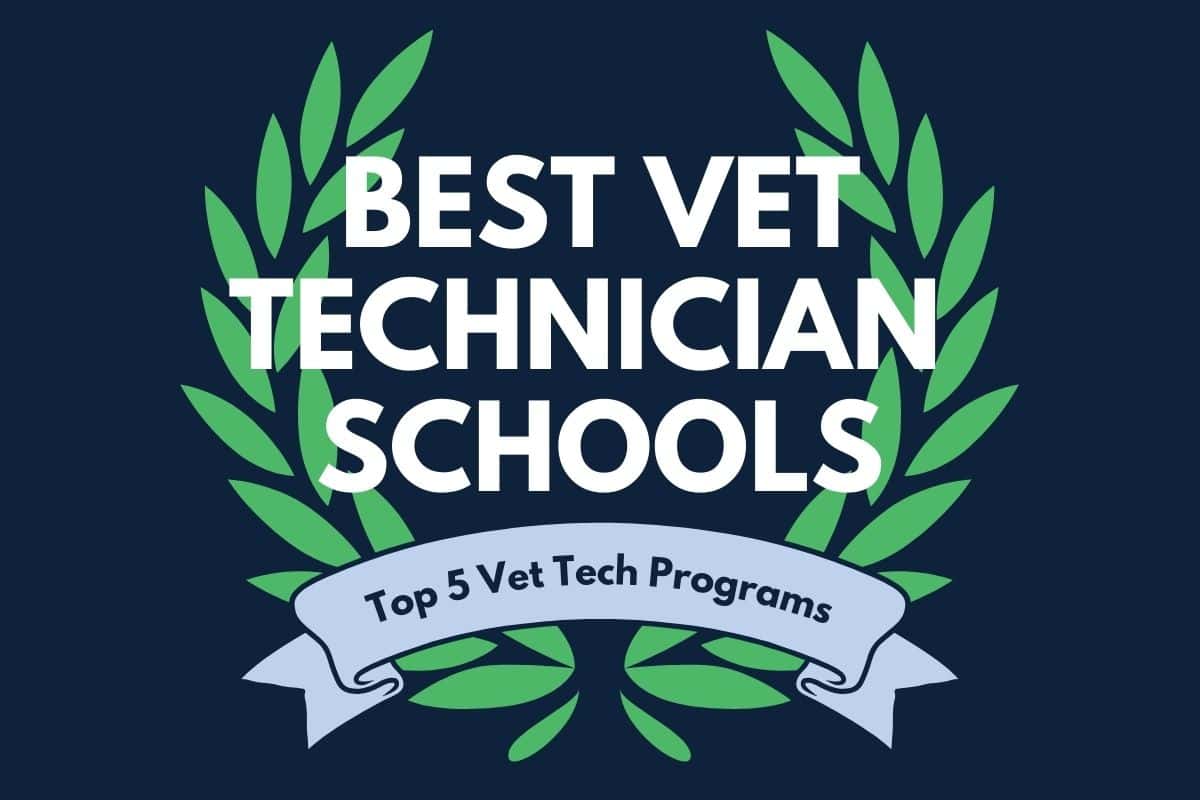 best schools for veterinary technicians
