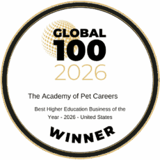 global 100 award for best higher education business of 2026