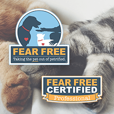 Fear Free Pets