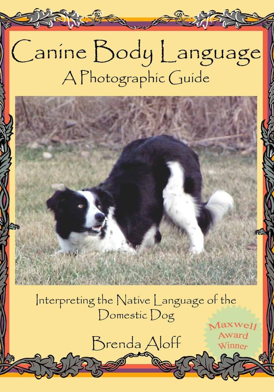 cbl_cover__19954 cbl_cover__19954