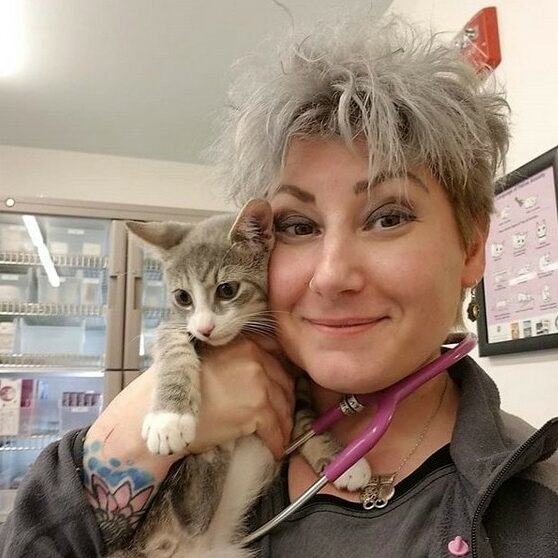 Ellen Carozza Cat LVT