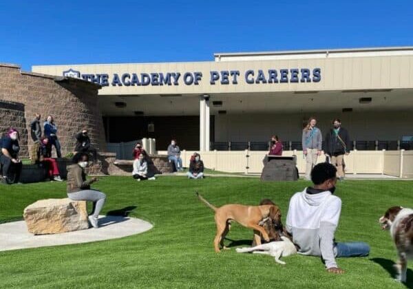 Dog Training School Missouri