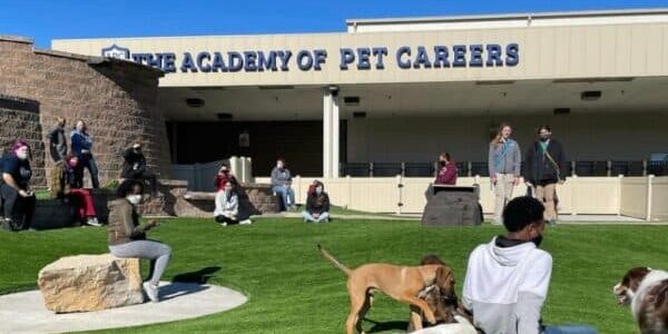 Dog Training School Missouri